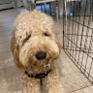 Meet your Posher, Jaden